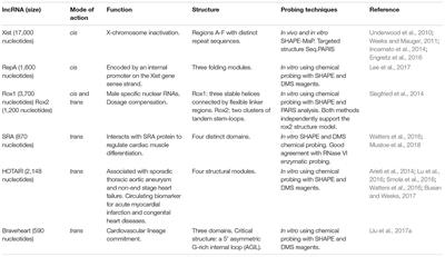 Long Non-coding RNA Structure and Function: Is There a Link?